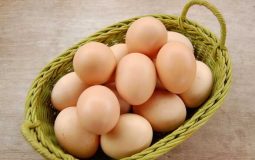 Người bị ho có nên ăn trứng không? Cần lưu ý những gì?