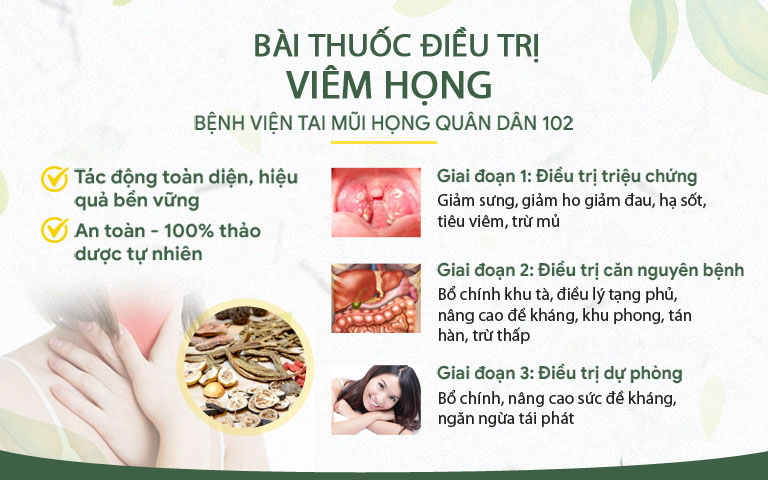 Bài thuốc điều trị viêm họng Quân dân 102