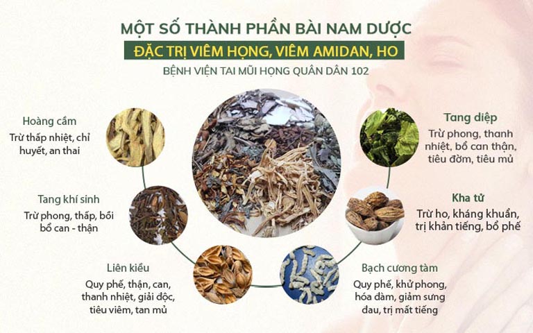 Thành phần bài thuốc Thanh Hầu Bổ Phế Thang