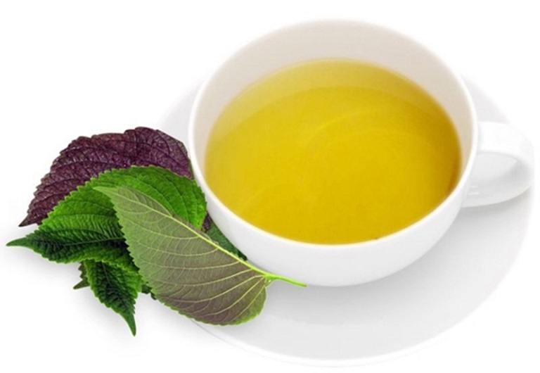 Nước lá tía tô chữa viêm họng rất tốt