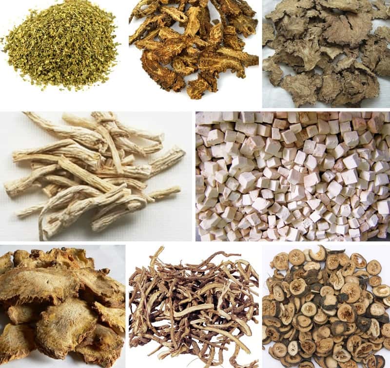 Một số vị thuốc Đông y chữa viêm họng mãn tính