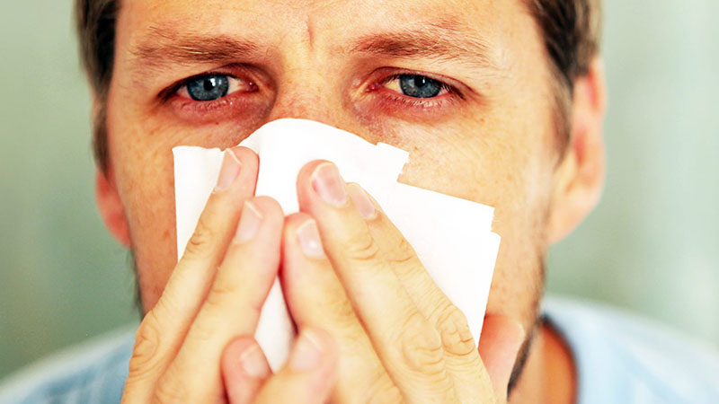 Viêm mũi dị ứng theo mùa có thể làm trầm trọng các bệnh lý dị ứng khác